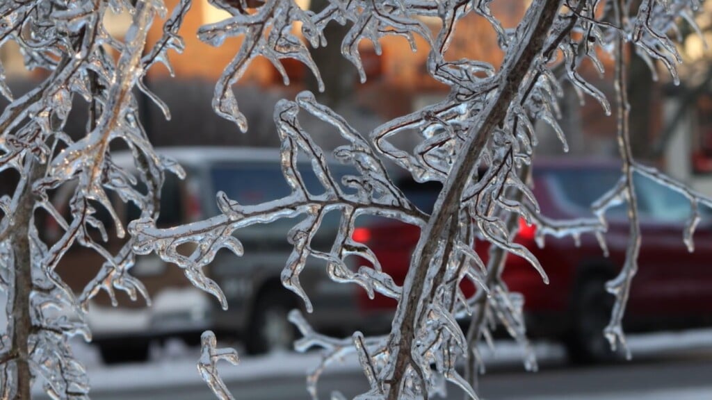 Photo Resize 2026 01 27t164449451