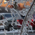 Photo Resize 2026 01 27t164449451