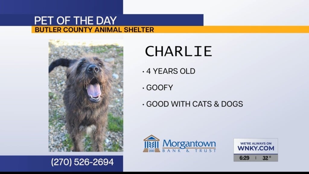 Potd Charlie 01.16.26