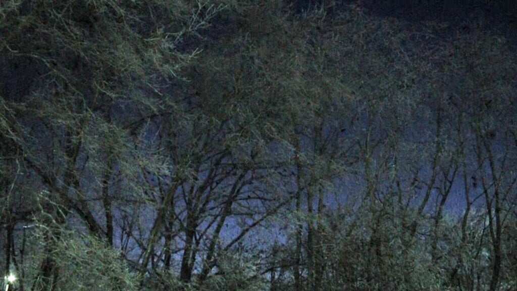 Photo Resize 2026 01 28t191206550