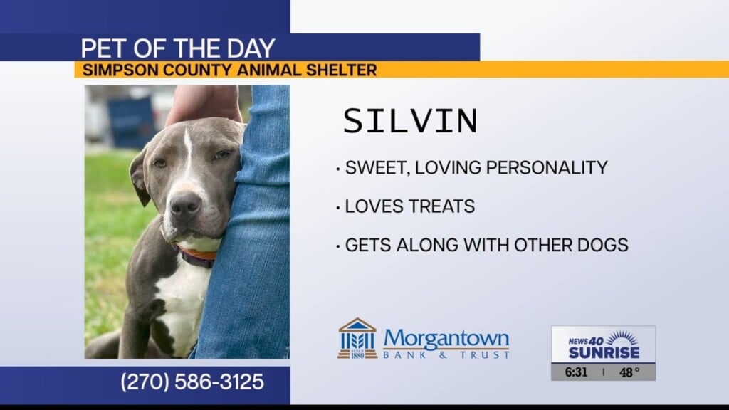 Potd Silvin 01.14.26