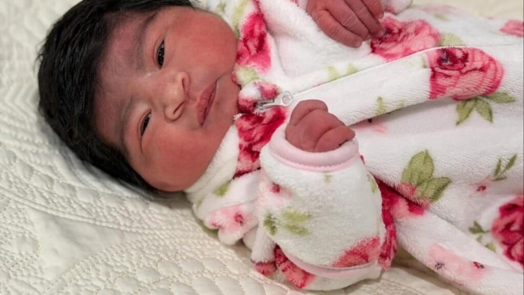 Photo Resize 2026 01 02t142734021