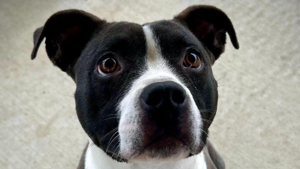 Photo Resize 2026 01 08t151405190