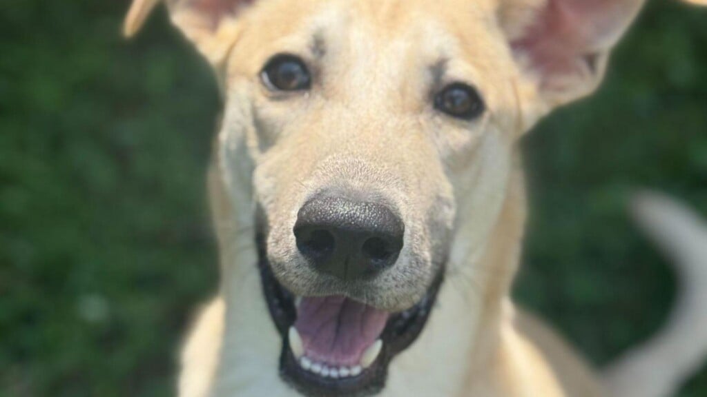 Photo Resize 2026 01 05t094323970