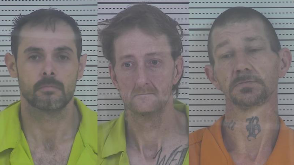 Campbellsville Arrests