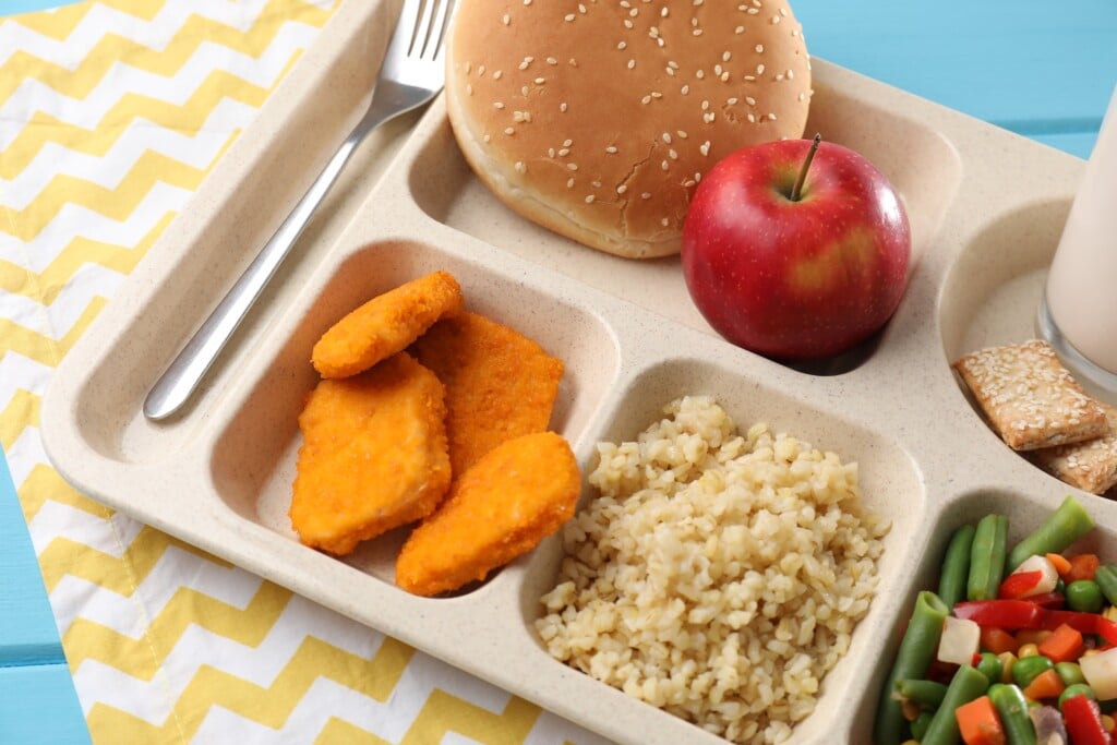 Plastic Tray With Tasty Food And Fork On Light Blu 2025 12 31 00 27 34 Utc