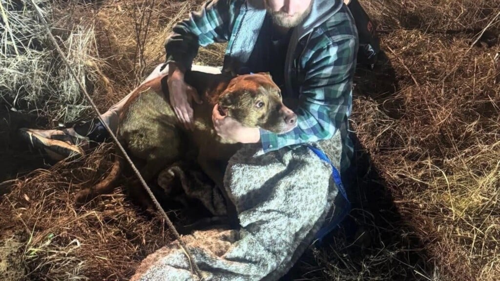 Photo Resize 2026 02 27t181229515