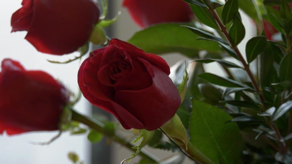 Photo Resize 2026 02 13t165514049