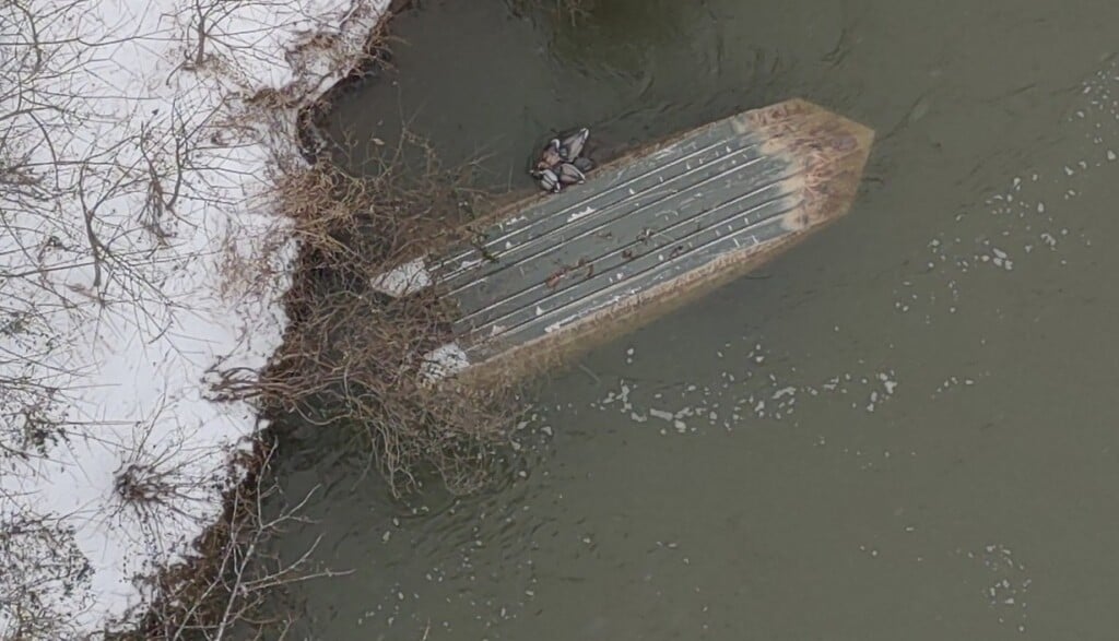 627747537 873596979003932 1366727109546739997 N