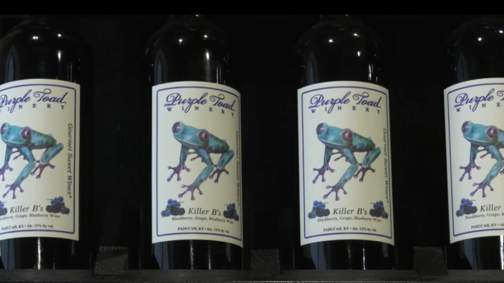 Photo Resize 2026 02 06t165843071