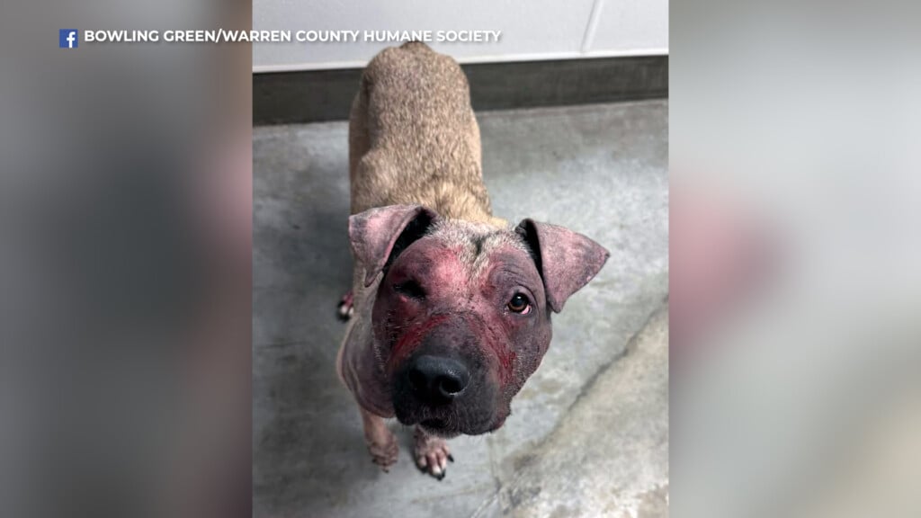 Vo00 00 00 00still001