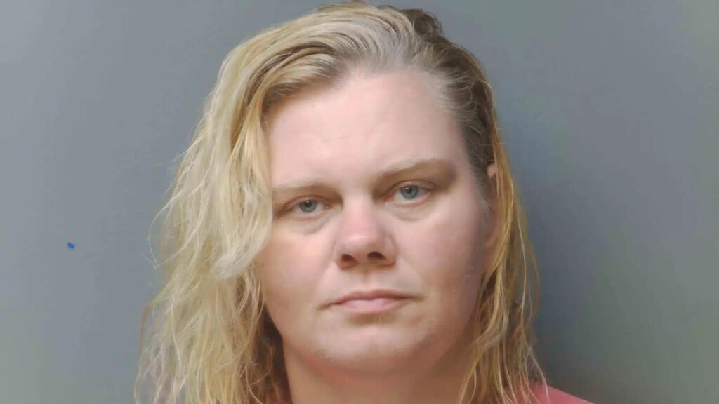 Photo Resize 2026 02 11t165029314