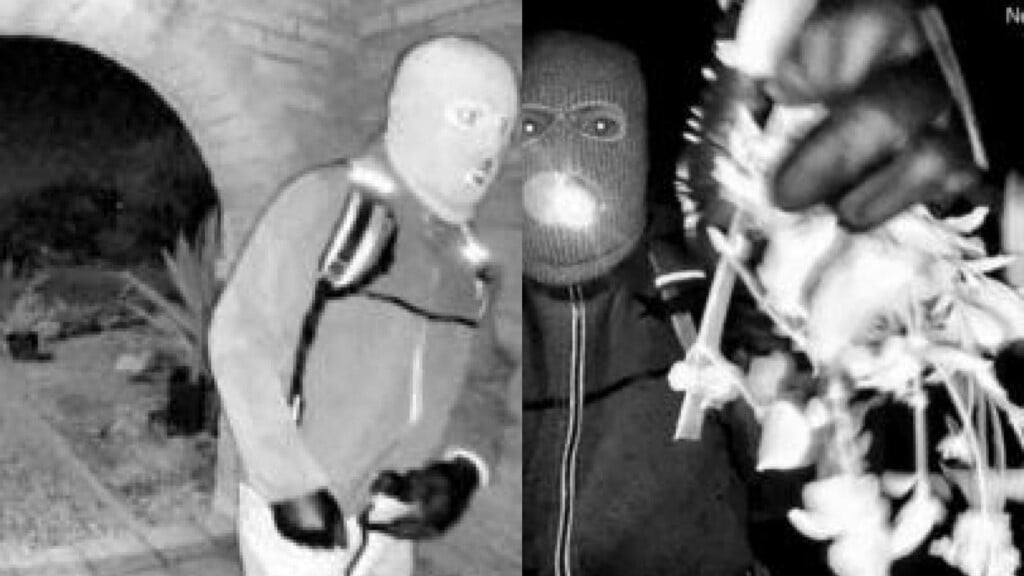 Photo Resize 2026 02 10t150327166