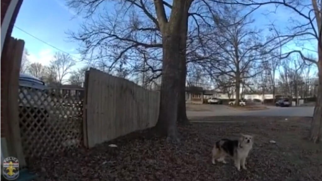 Photo Resize 2026 02 11t171727139