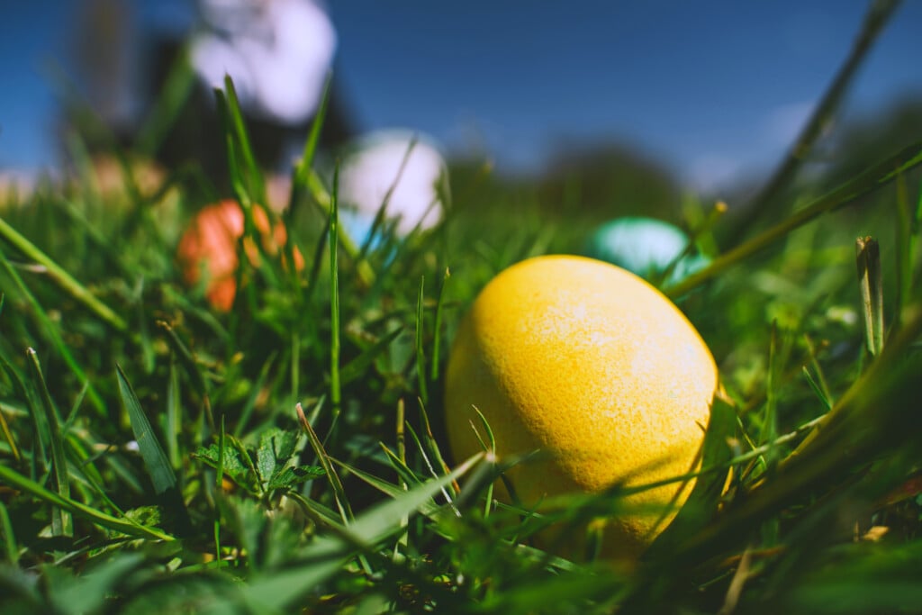 Easter Eggs Hunt Background