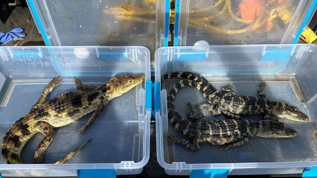 Photo Resize 2026 03 10t103728550