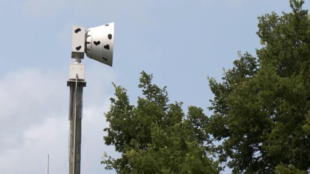 Photo Resize 2026 03 03t153138535