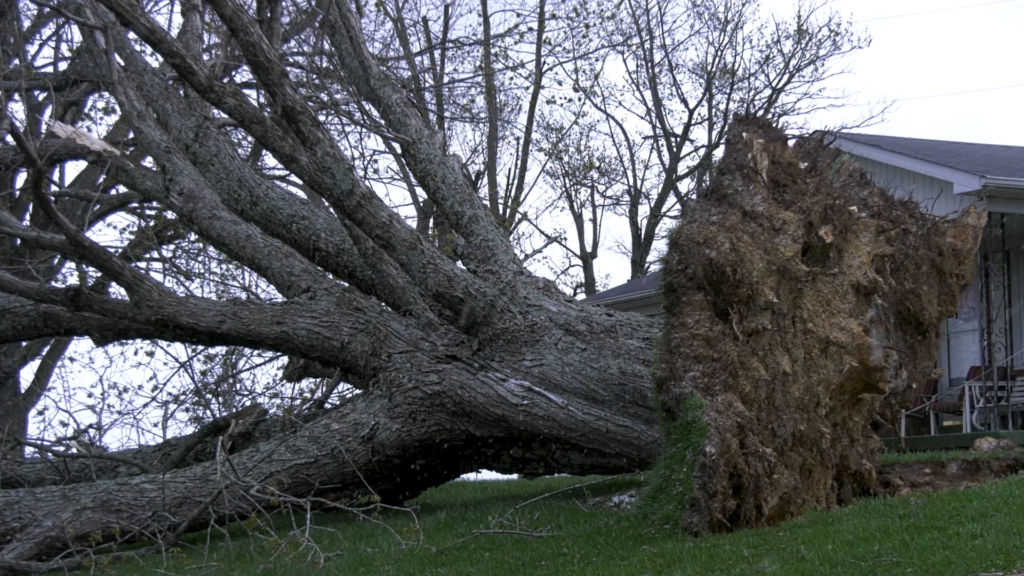 Grayson County Tornado Damage