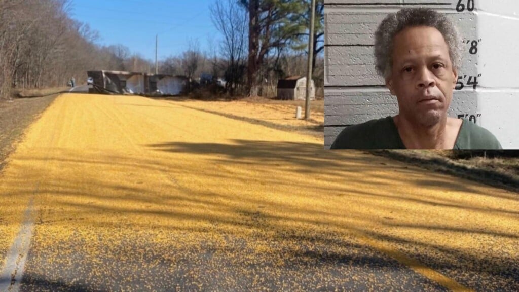 Photo Resize 2026 03 26t152254473