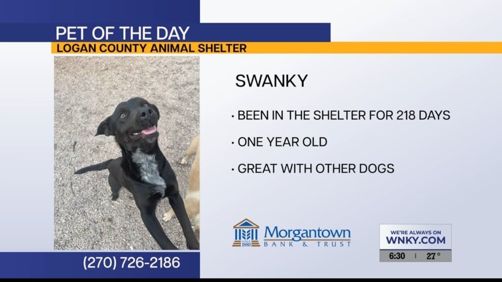 Pet Of The Day 2 17 2026