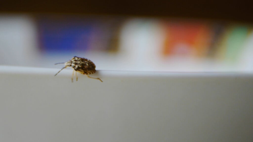 Vo00 00 08 23still001