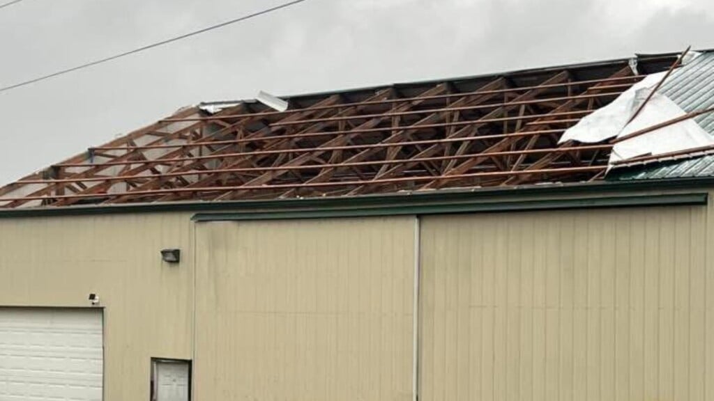 Photo Resize 2026 03 18t120842051