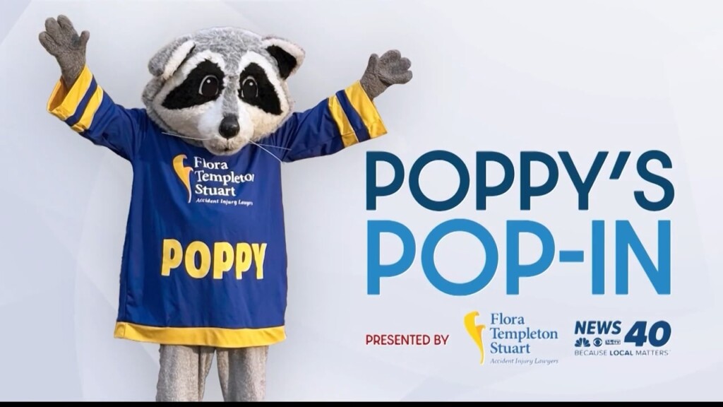 Poppy's Pop In 3.13.26