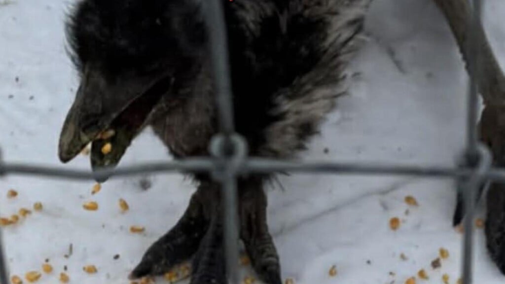 Photo Resize 2026 03 19t125738362