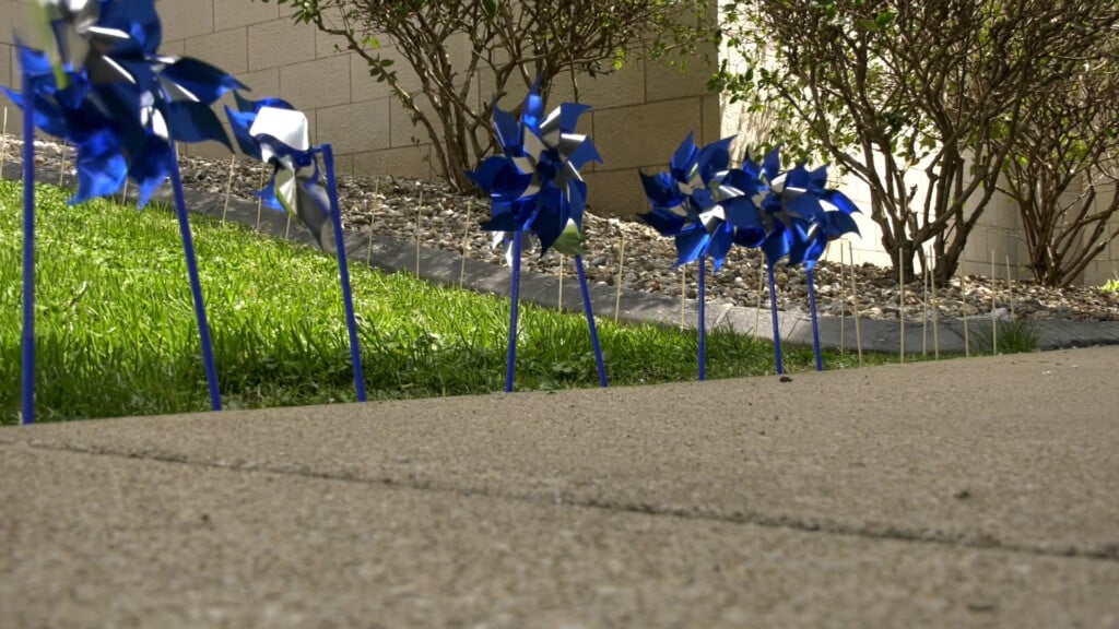 Hart County Pinwheel Planting Pkg00 00 05 00still001