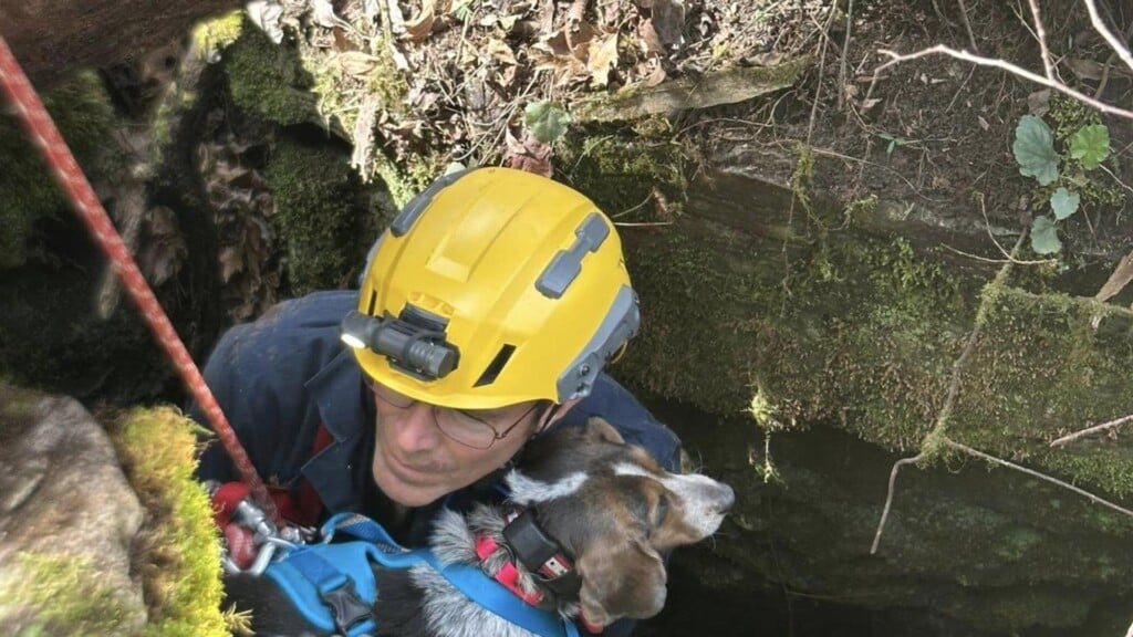 Photo Resize 2026 03 24t181232958