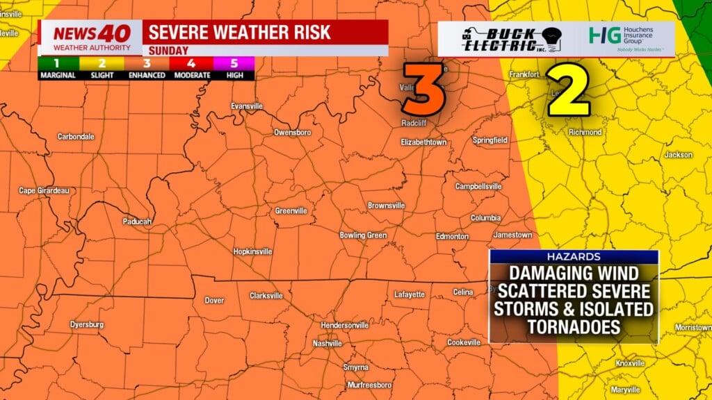 Screenshot 2026 03 15 183421