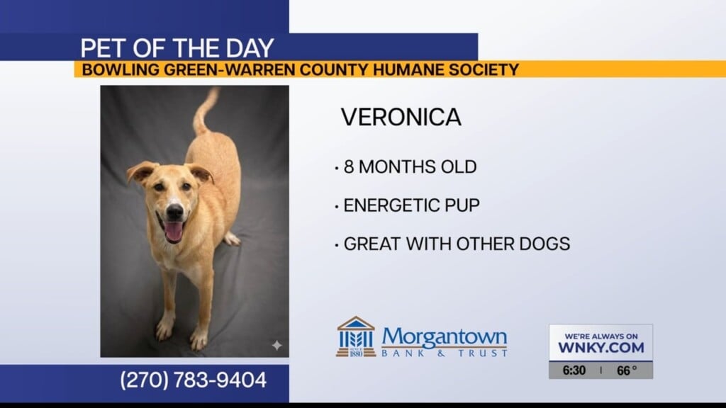 Pet Of The Day 4 16 2026