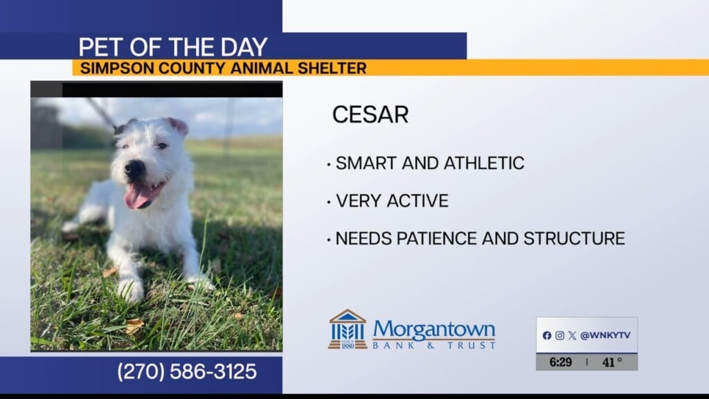 Pet Of The Day 4 7 2026