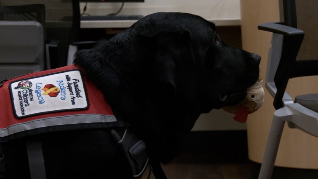 Facility Dog Week Norton Vomp400 00 19 05still001