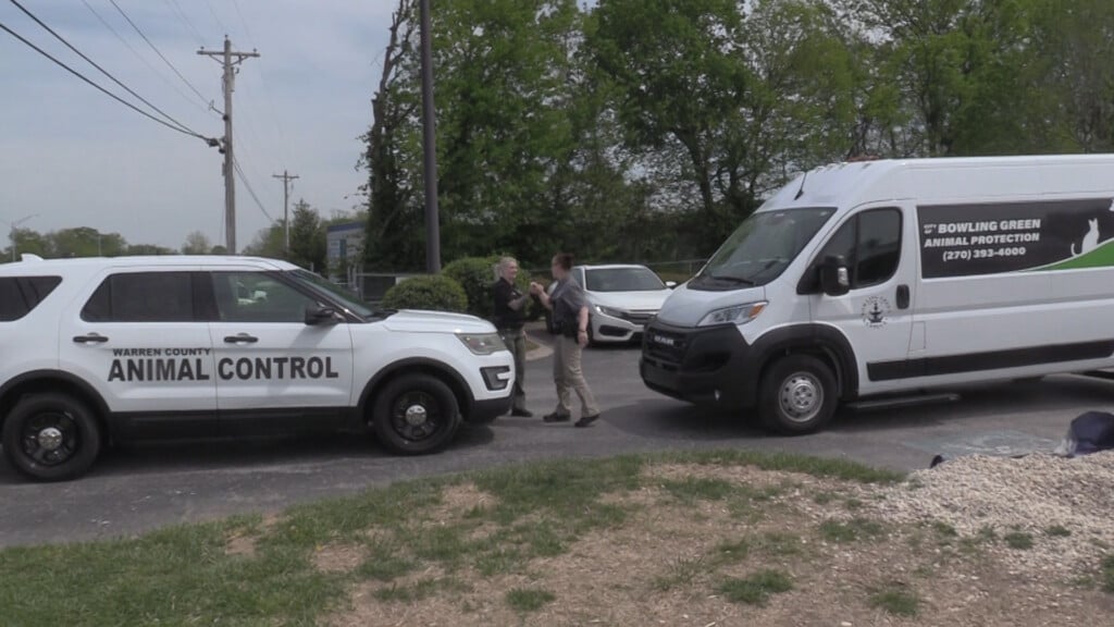 Animal Control Image 2026