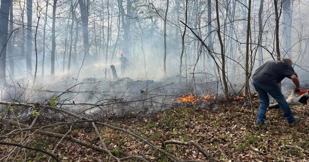 657919464 979377911090704 3328253511938383121 N