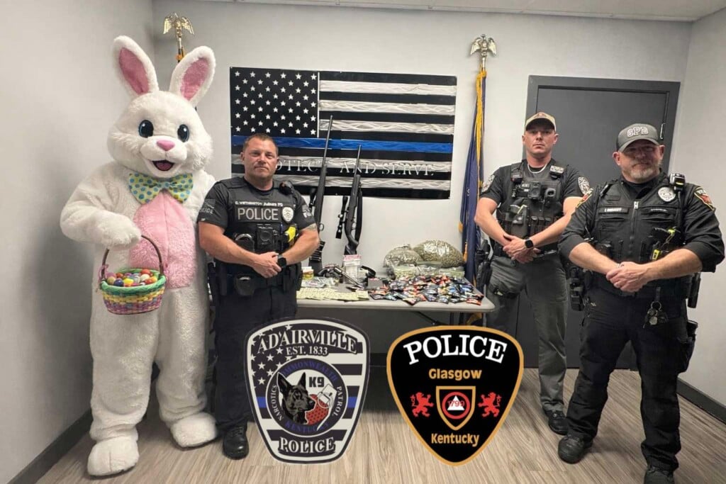 661807382 1458444795760829 6070266965344909454 N