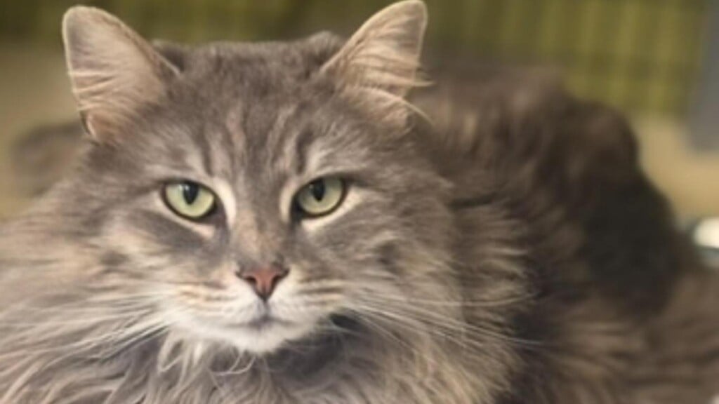 Photo Resize 2026 04 28t124030309