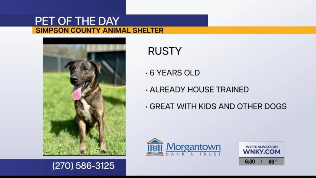 Pet Eof The Day 4.15.26