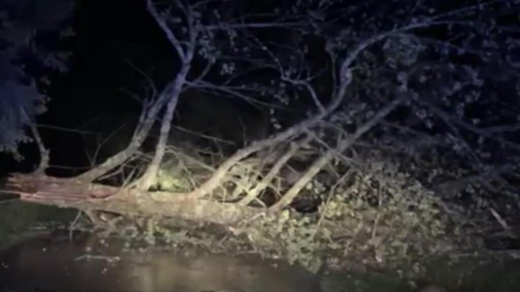 Photo Resize 2026 04 28t101738844