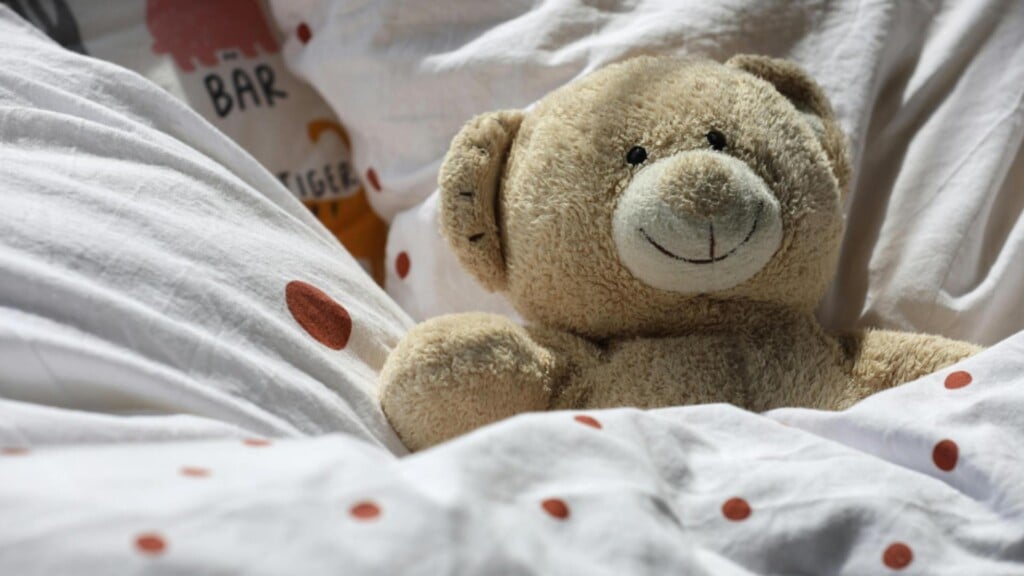 Photo Resize 2026 04 07t163910737