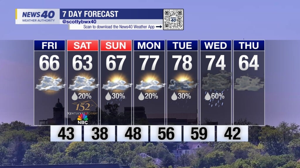 7 Day