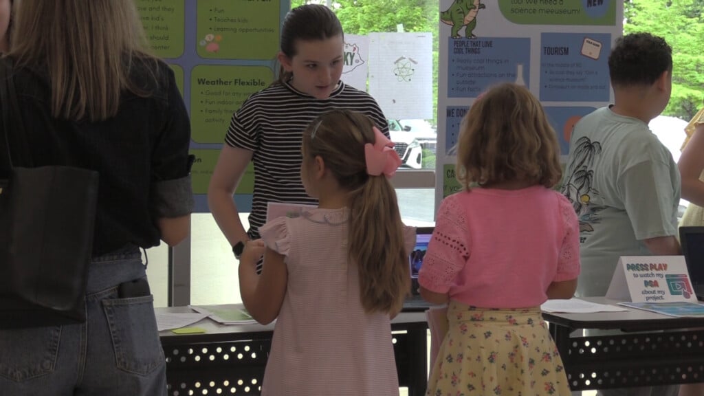 Share Fair Potter Gray