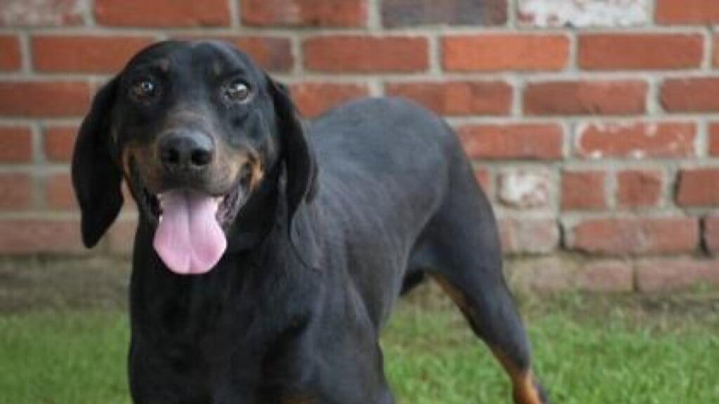 Photo Resize 2026 04 24t104808343