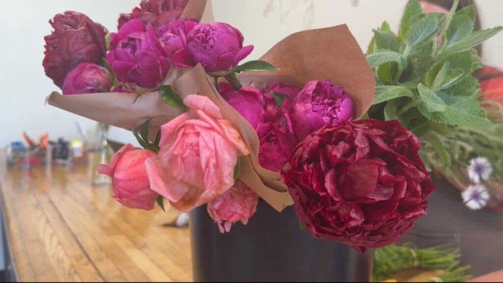 Photo Resize 2026 04 30t172557348