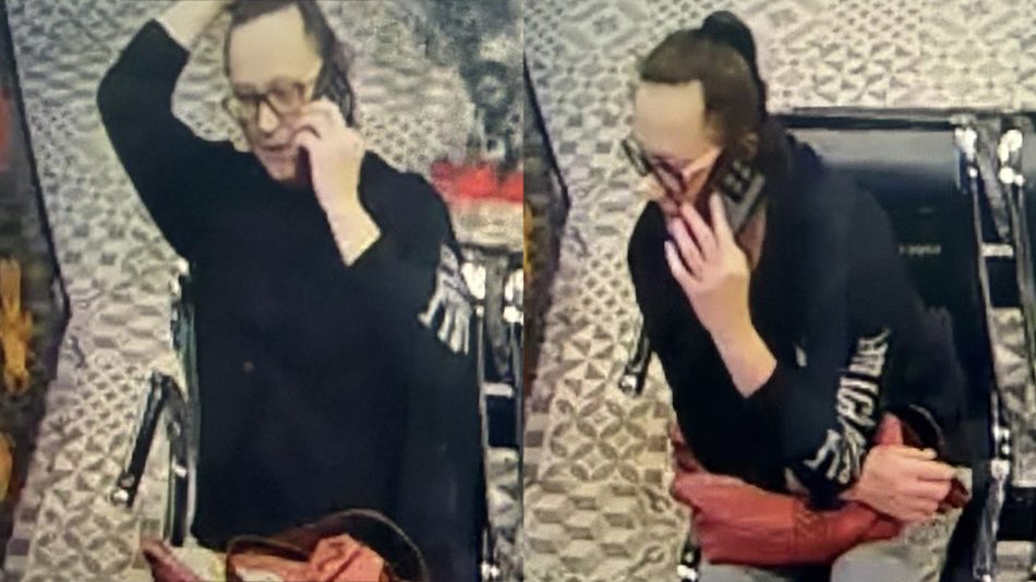 Franklin Theft Subject