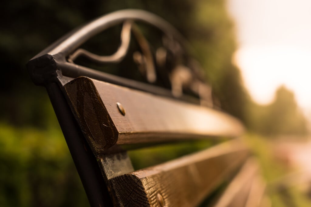 Fragment Of Bench Horizontal