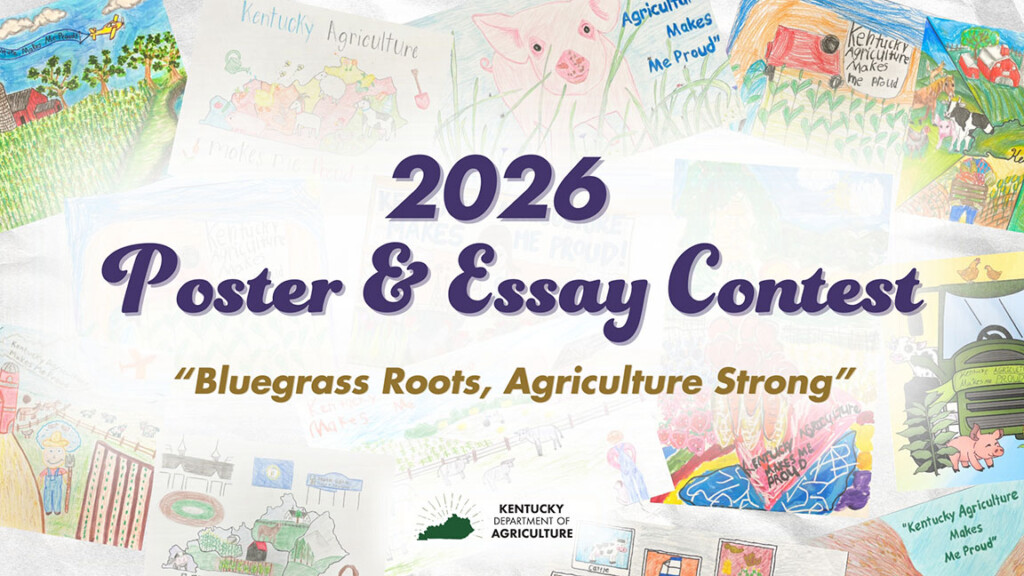 2025 Pe Contest