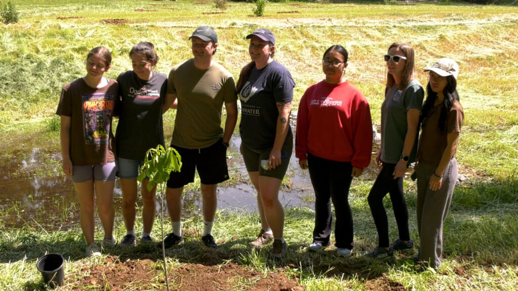Basil Griffin Tree Planting