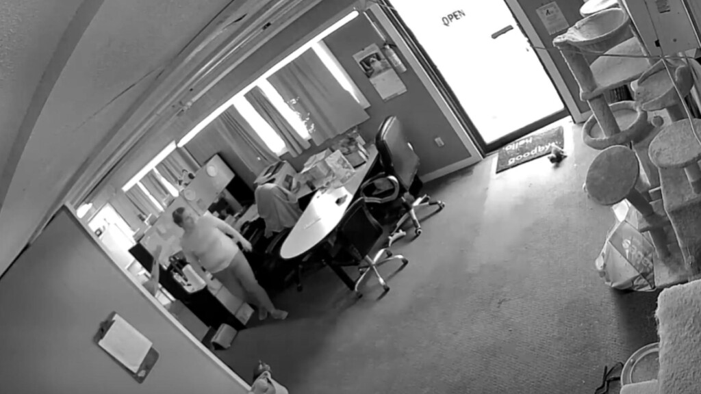 Photo Resize 2026 05 06t110804805